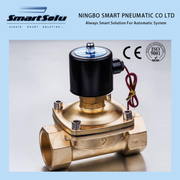 2W Two-way Brass Solenoid Valve